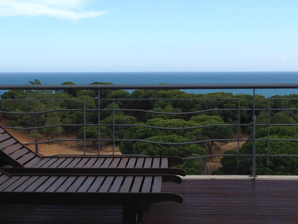 blick von terrasse mit liegestühlen meerblick und grüne natur